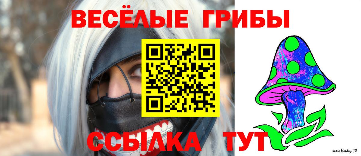 Мичуринск  Галлюциногенные грибы Cubensis  Вход с VPN  Псилоцибиновые грибы мухоморы 