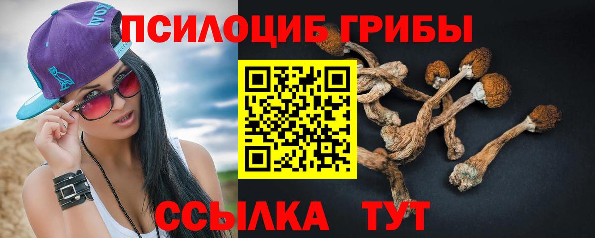 Псилоцибиновые грибы Magic Shrooms Мичуринск