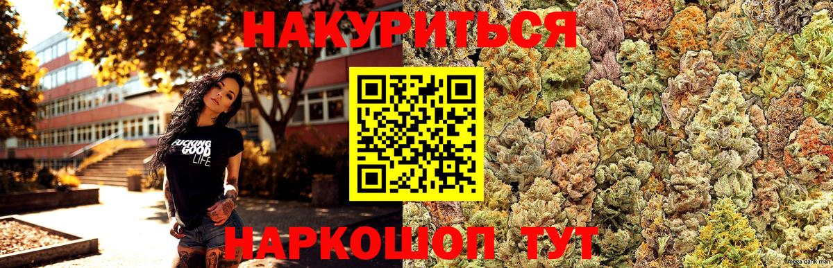 Каннабис OG Kush Мичуринск